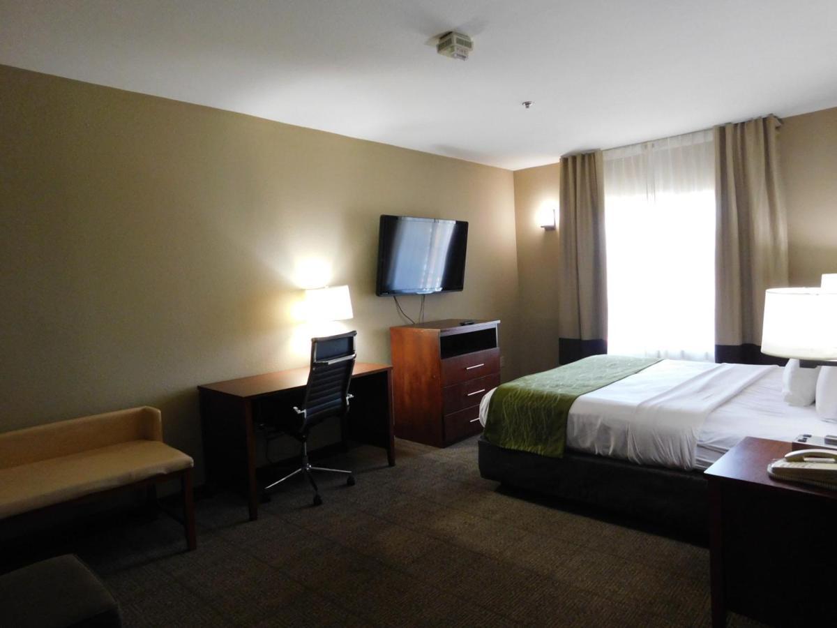 Comfort Inn & Suites Sacramento - University Area מראה חיצוני תמונה